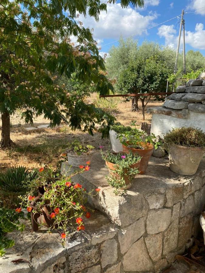 Casa Gianre Guest House Monopoli Exterior photo